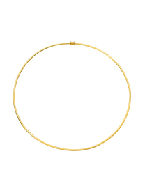 Torque Necklace